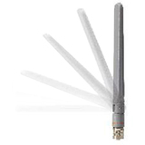 AIR-ANT2524DG-R