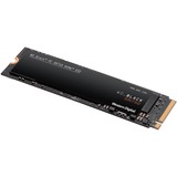WDS200T3X0C