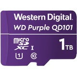 WDD100T1P0C