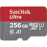SDSQUAC-256G-GN6FA