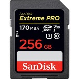 SDSDXXY-256G-GN4IN