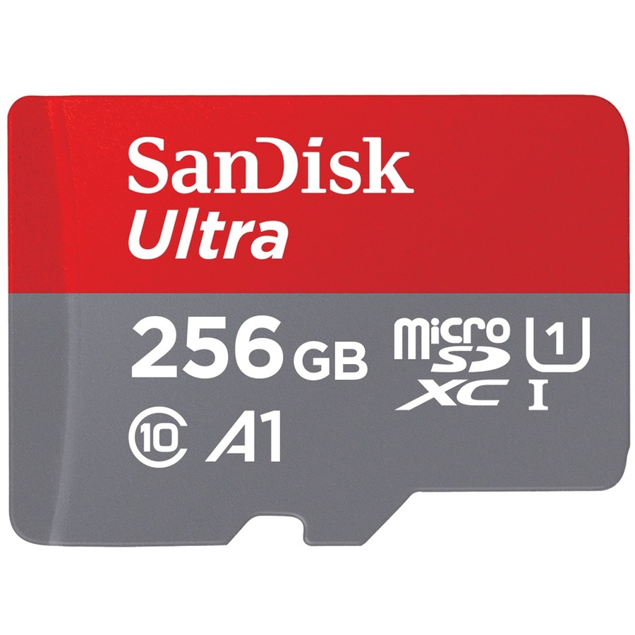 SDSQUA4-256G-GN6MA-1