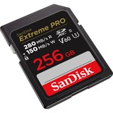 SDSDXEP-256G-GN4IN