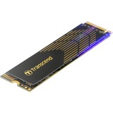 TS500GMTE240S